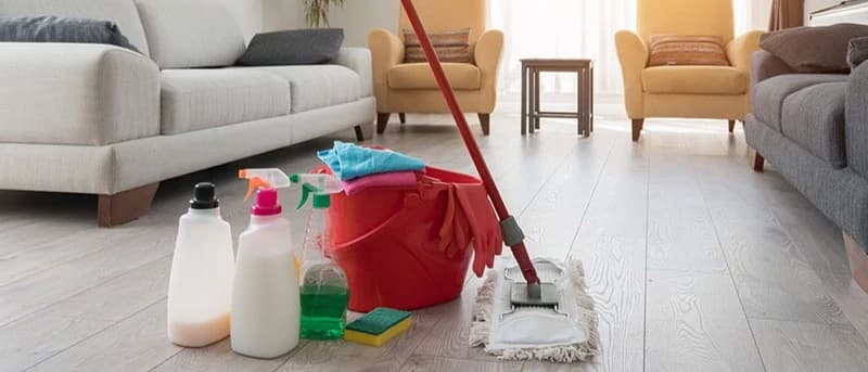 Regular Home Cleanings