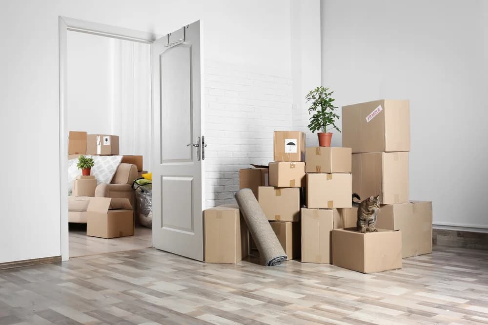 Move-In / Move-Out Cleanings